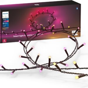 Philips Hue Indoor/Outdoor Holiday 130-Foot Festavia String Light