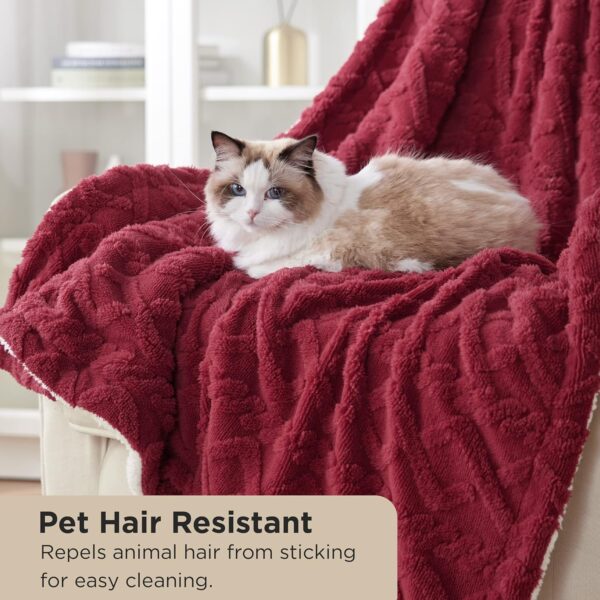 Bedsure Sherpa Throw Blanket for Couch Sofa - Image 4