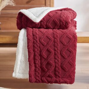 Bedsure Sherpa Throw Blanket for Couch Sofa